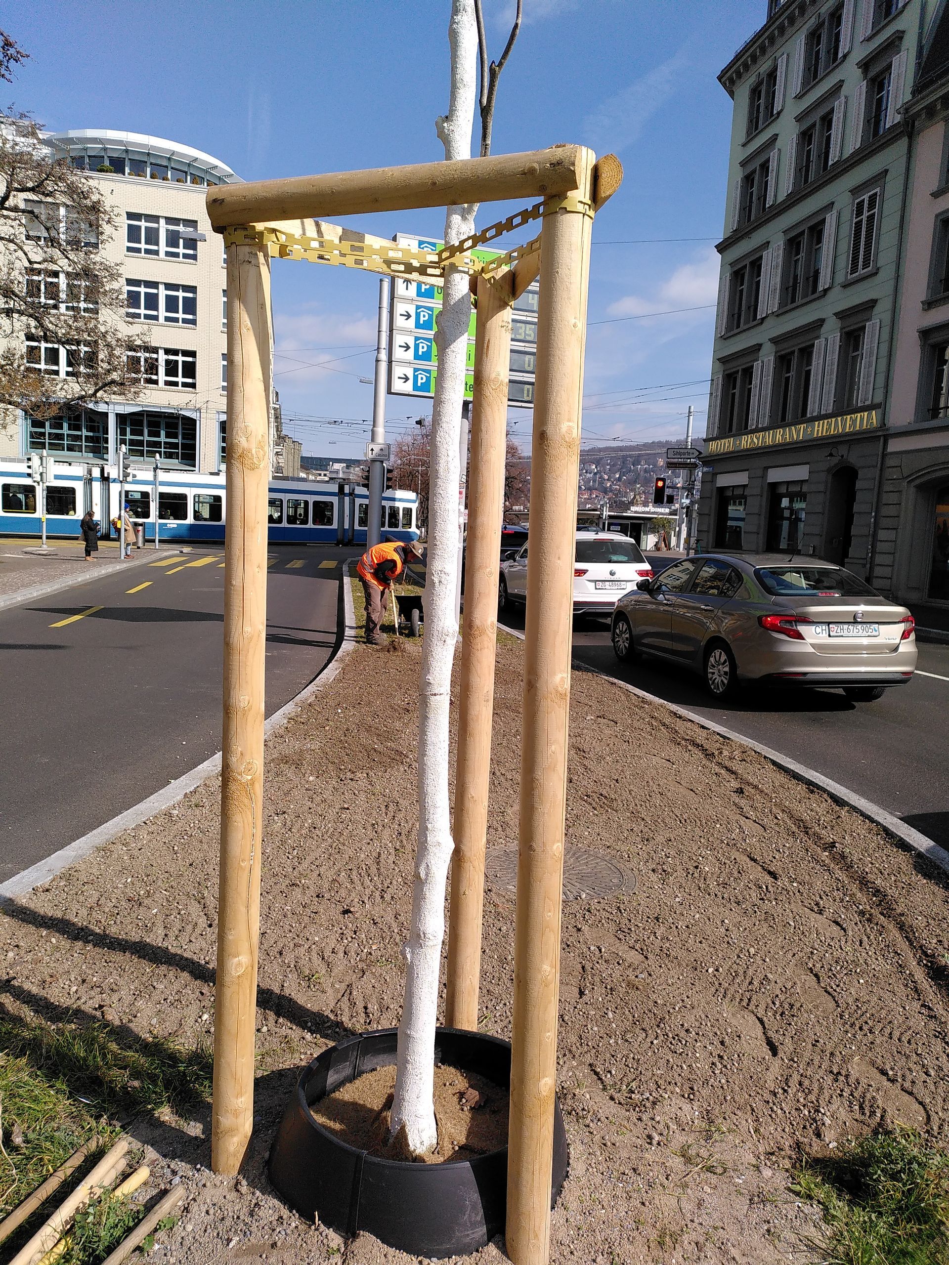 Junger Baum, geschützt durch Holzstützen auf einem Kiesmittelstreifen einer Stadtstrasse.