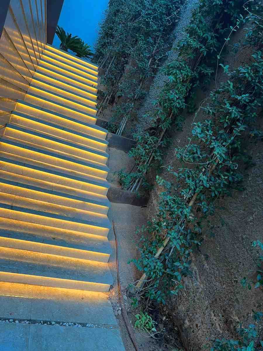 Unas escaleras iluminadas ascienden a lo largo de una ladera con vegetación.