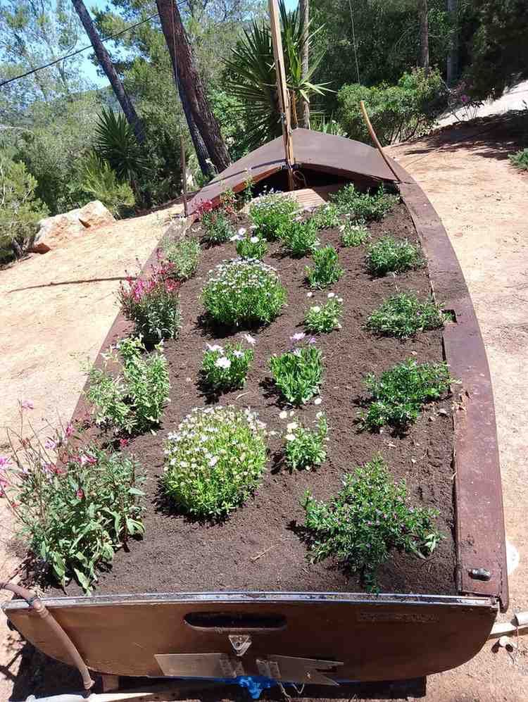 Un barco de metal lleno de tierra y varias plantas con flores verdes y blancas, al aire libre.