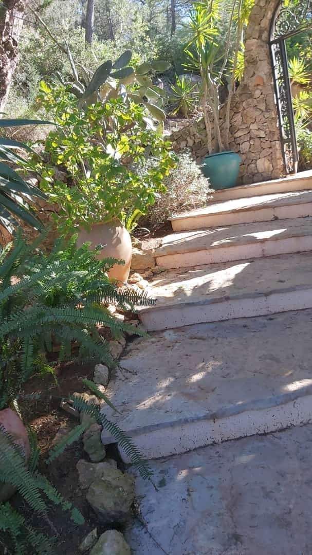 Unos escalones de piedra conducen a través de un jardín con plantas en macetas y una puerta arqueada.