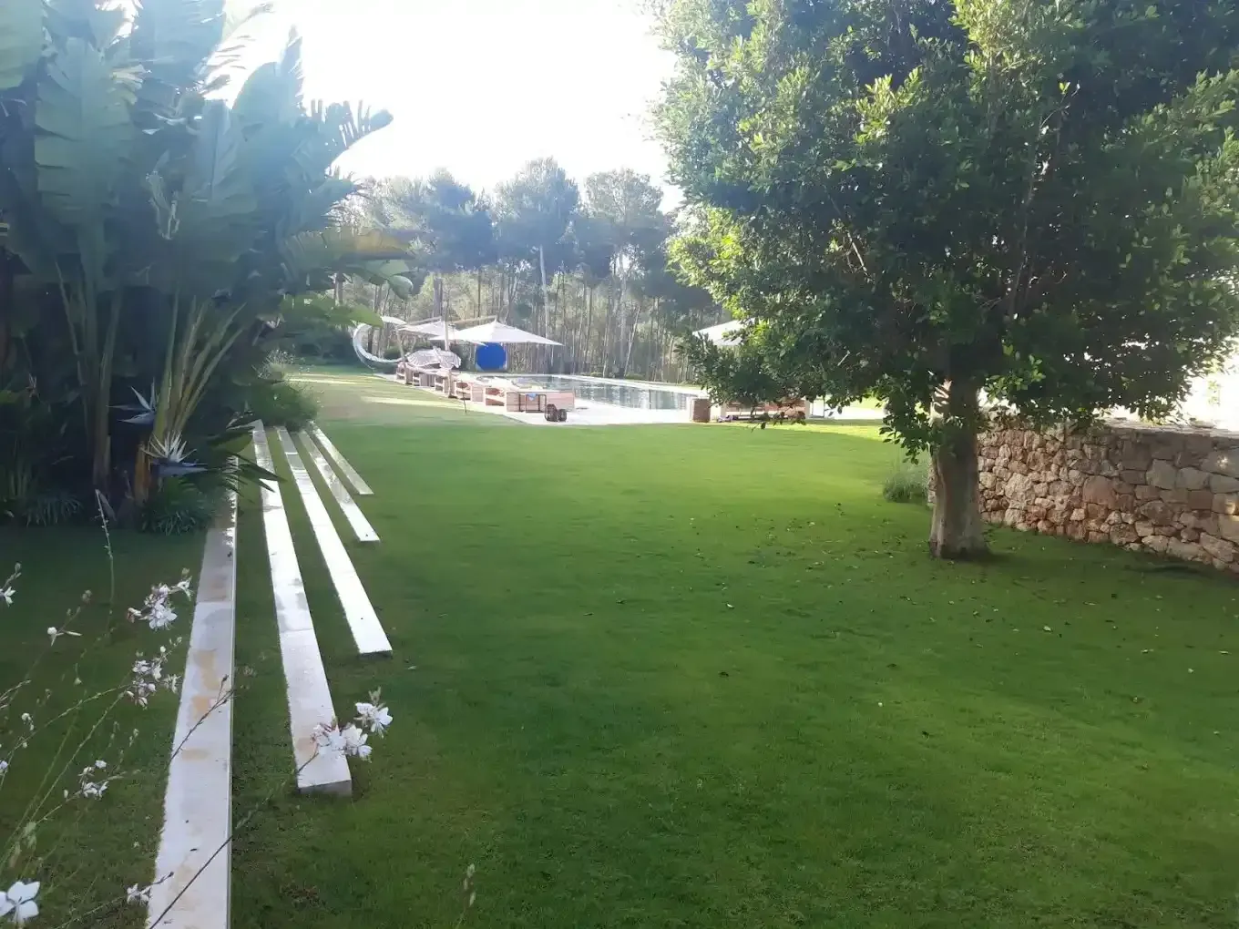 Césped verde y exuberante con una piscina a lo lejos, árboles y un sendero de piedra. Luz solar brillante.