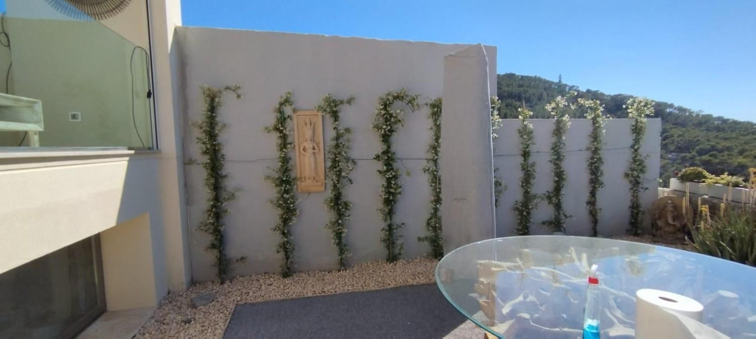 Patio exterior con muro de piedra y vegetación trepadora. Una mesa de cristal en primer plano.