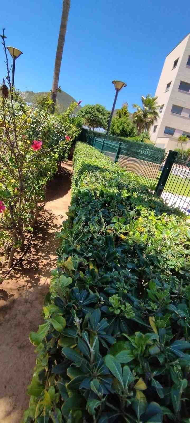 Un camino bordeado de setos verdes y flores rosas, que conduce a un edificio bajo un cielo azul.