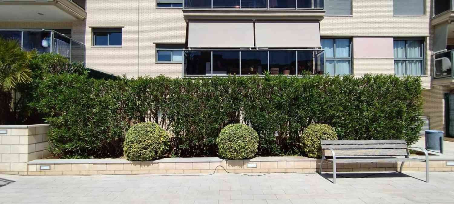 Césped verde y exuberante con una piscina a lo lejos, árboles y un sendero de piedra. Luz solar brillante.