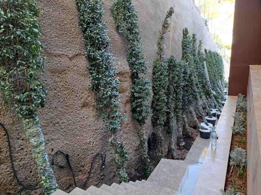Muro de piedra con escalones, plantas verdes colgantes y riego a lo largo del muro.