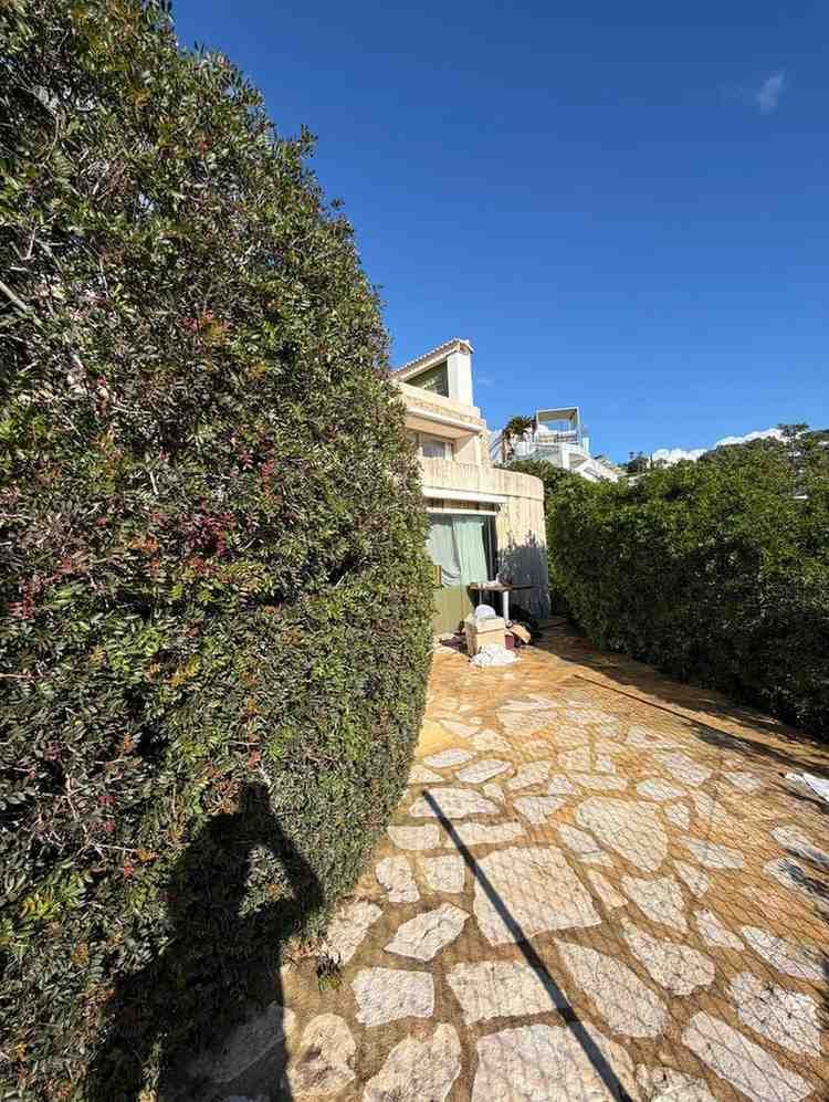 Camino que conduce a un edificio blanco, bordeado de setos verdes bajo un cielo azul claro.