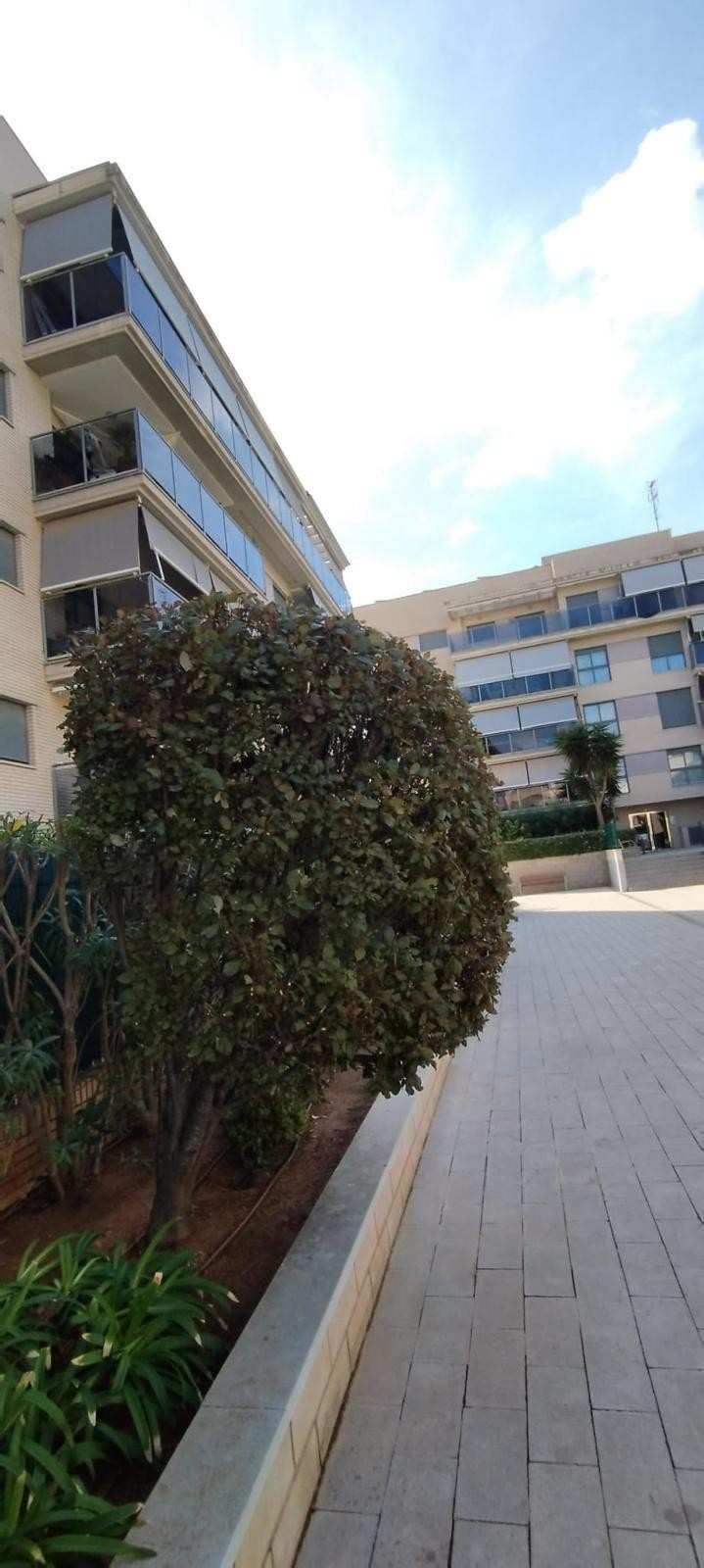 Edificios y arbustos recortados a lo largo de un camino pavimentado bajo un cielo nublado.