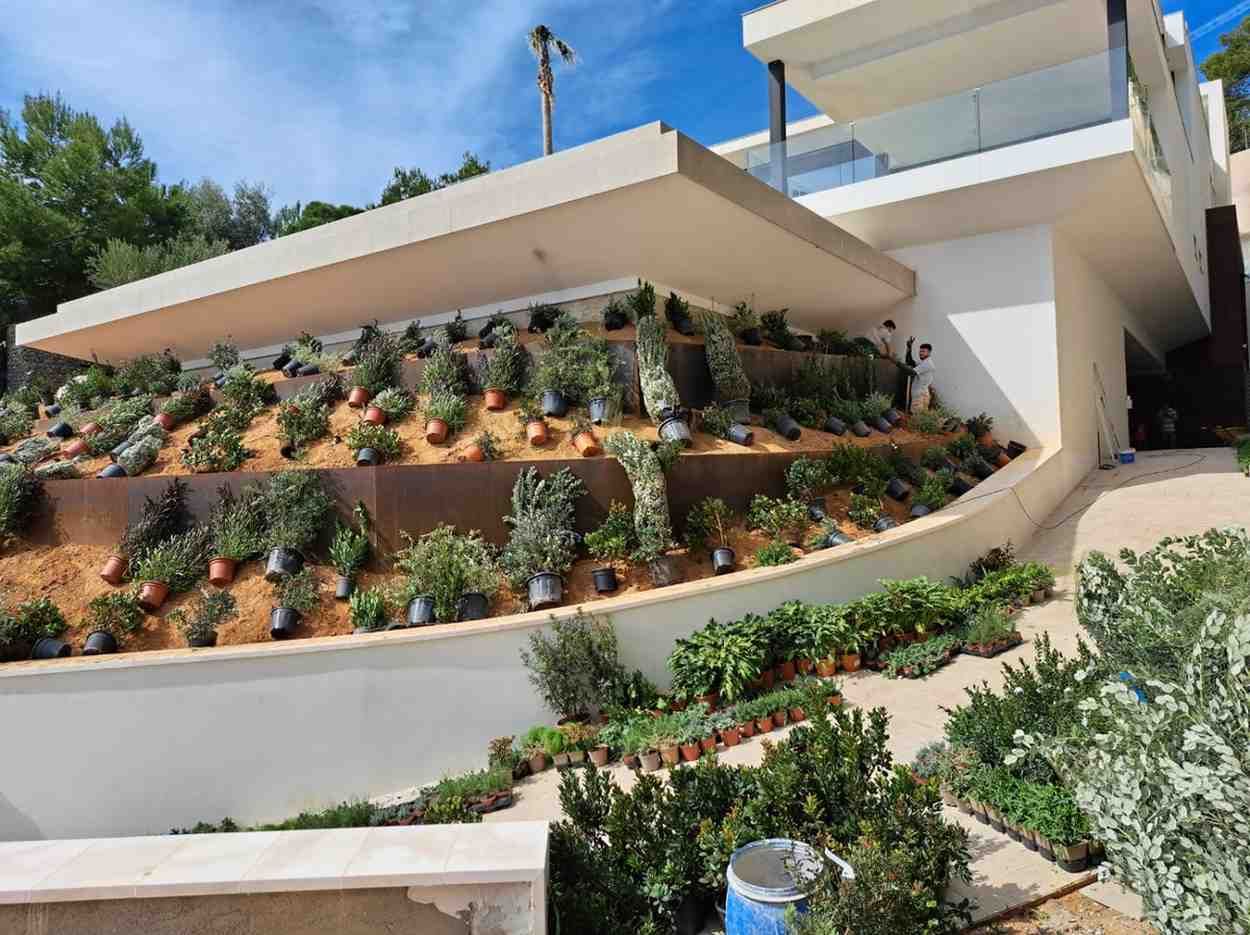 Edificio moderno con plantación escalonada, varias plantas en macetas y arbustos en una ladera bajo un cielo azul.