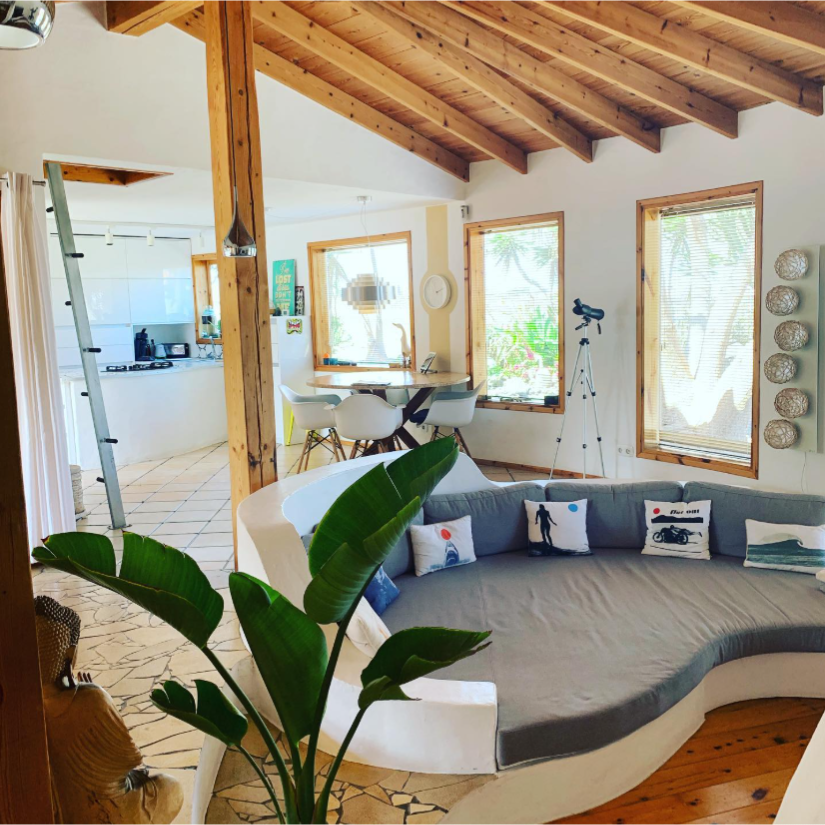 Una sala de estar con un sofá curvo y una planta.