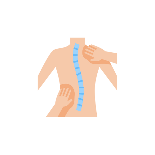 Espalda humana con columna vertebral curvada, siendo examinada con las manos. Columna vertebral azul, piel clara.