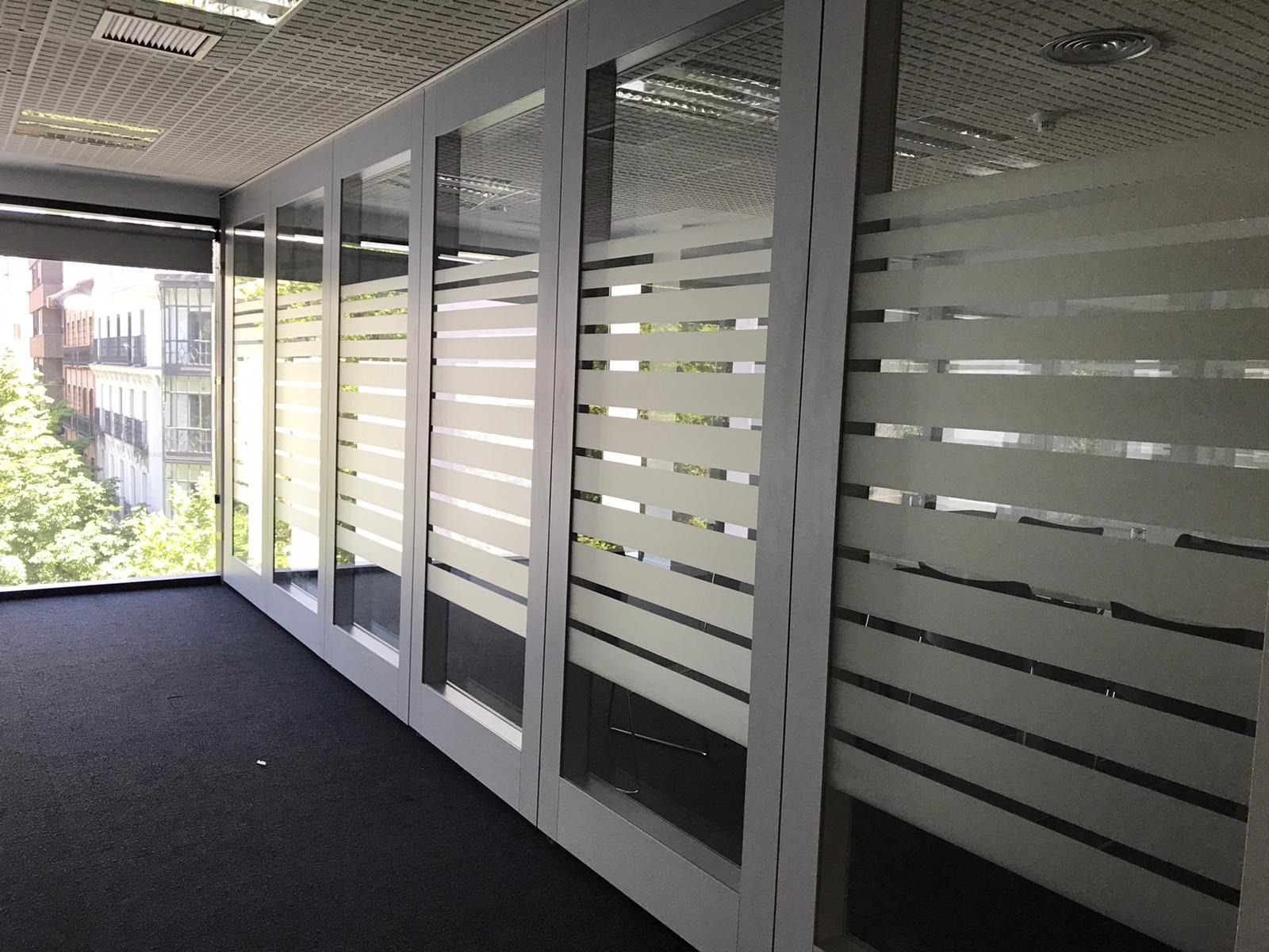 Una habitación con muchas ventanas y suelo alfombrado.