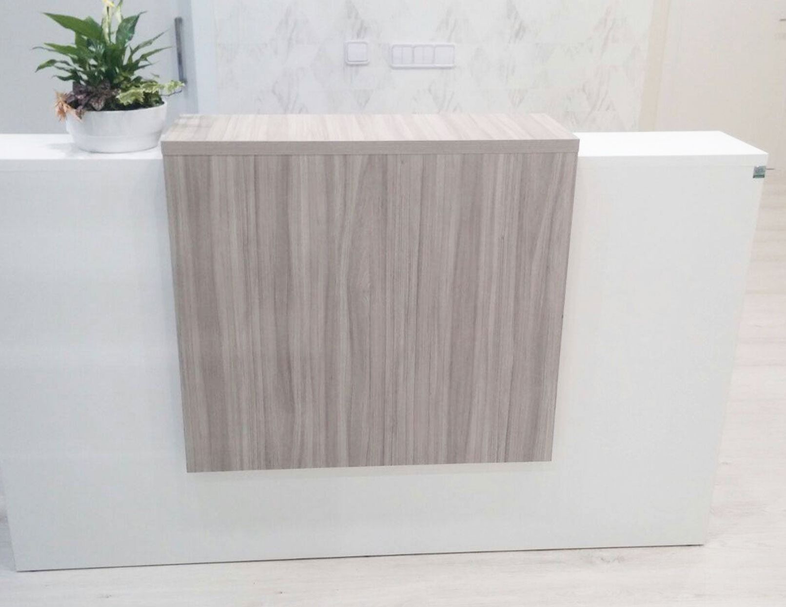 Un mostrador de recepción con una planta encima.