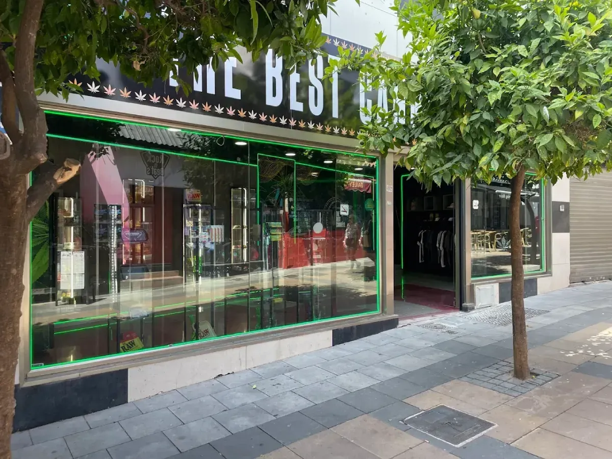 Tienda con grandes ventanales que exhiben artículos; el letrero dice 