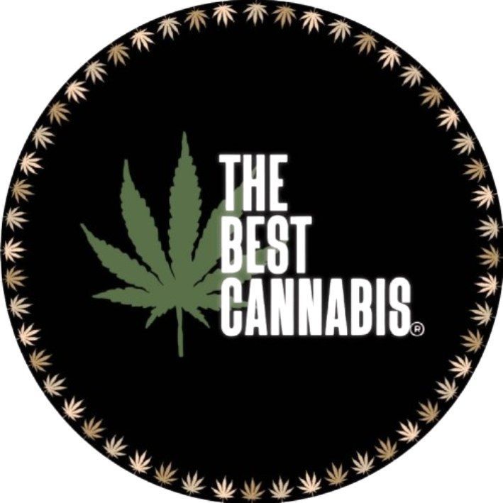 Logotipo circular con fondo negro, hoja de cannabis verde y texto blanco: "EL MEJOR CANNABIS".