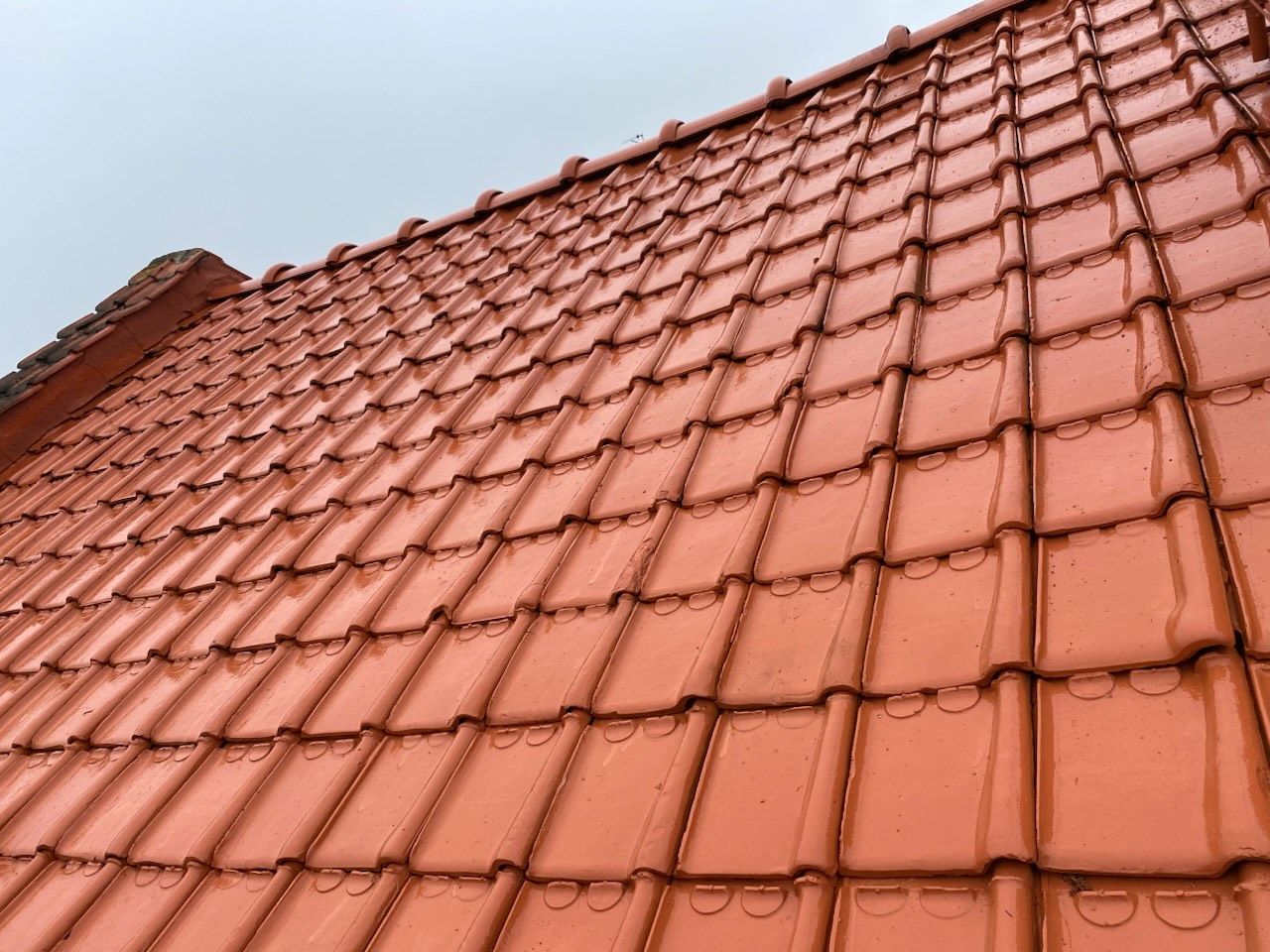 Un toit après nettoyage et traitement