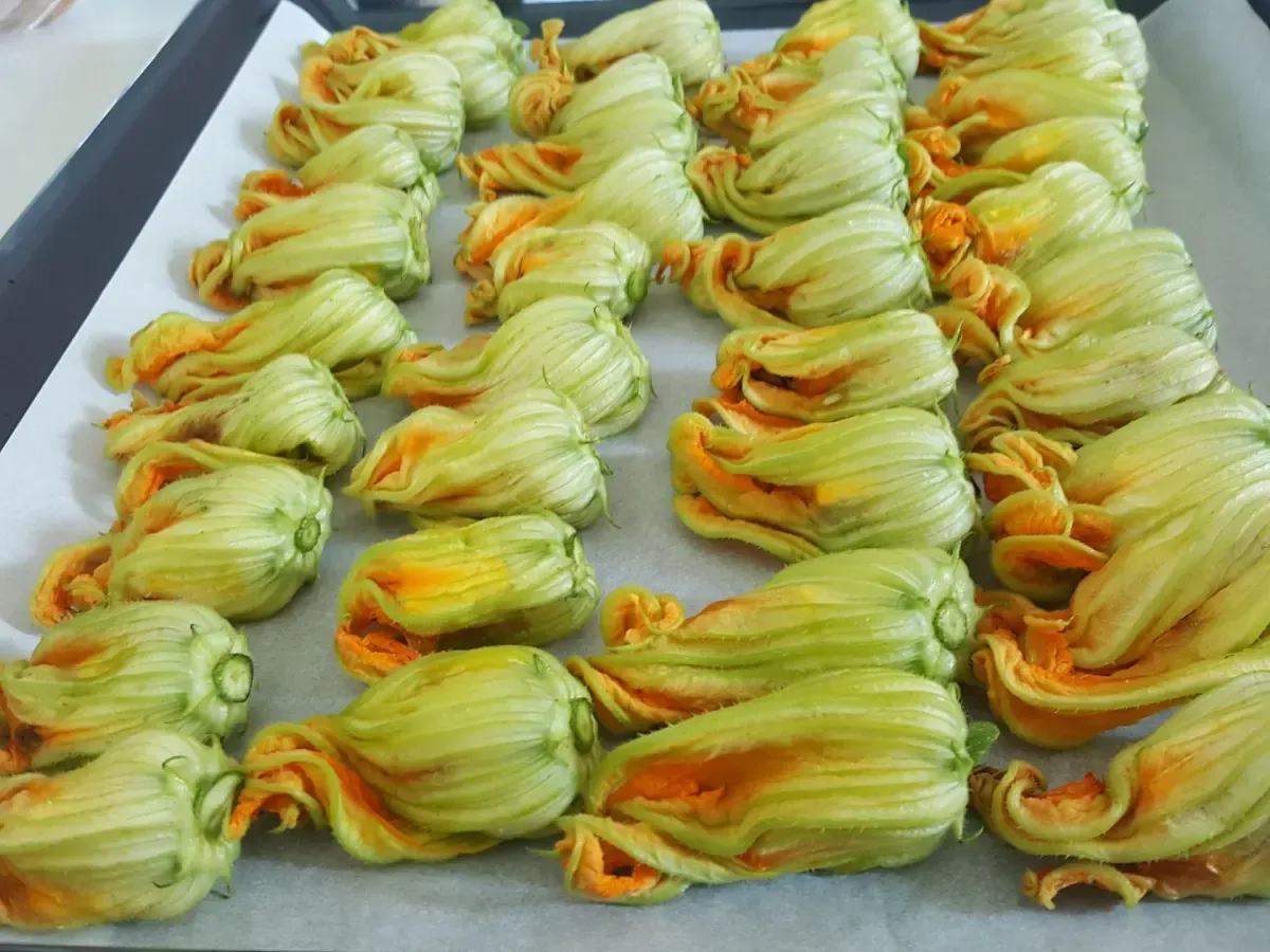 Hileras de flores de calabaza de color verde pálido dispuestas en una bandeja, con centros naranjas visibles.