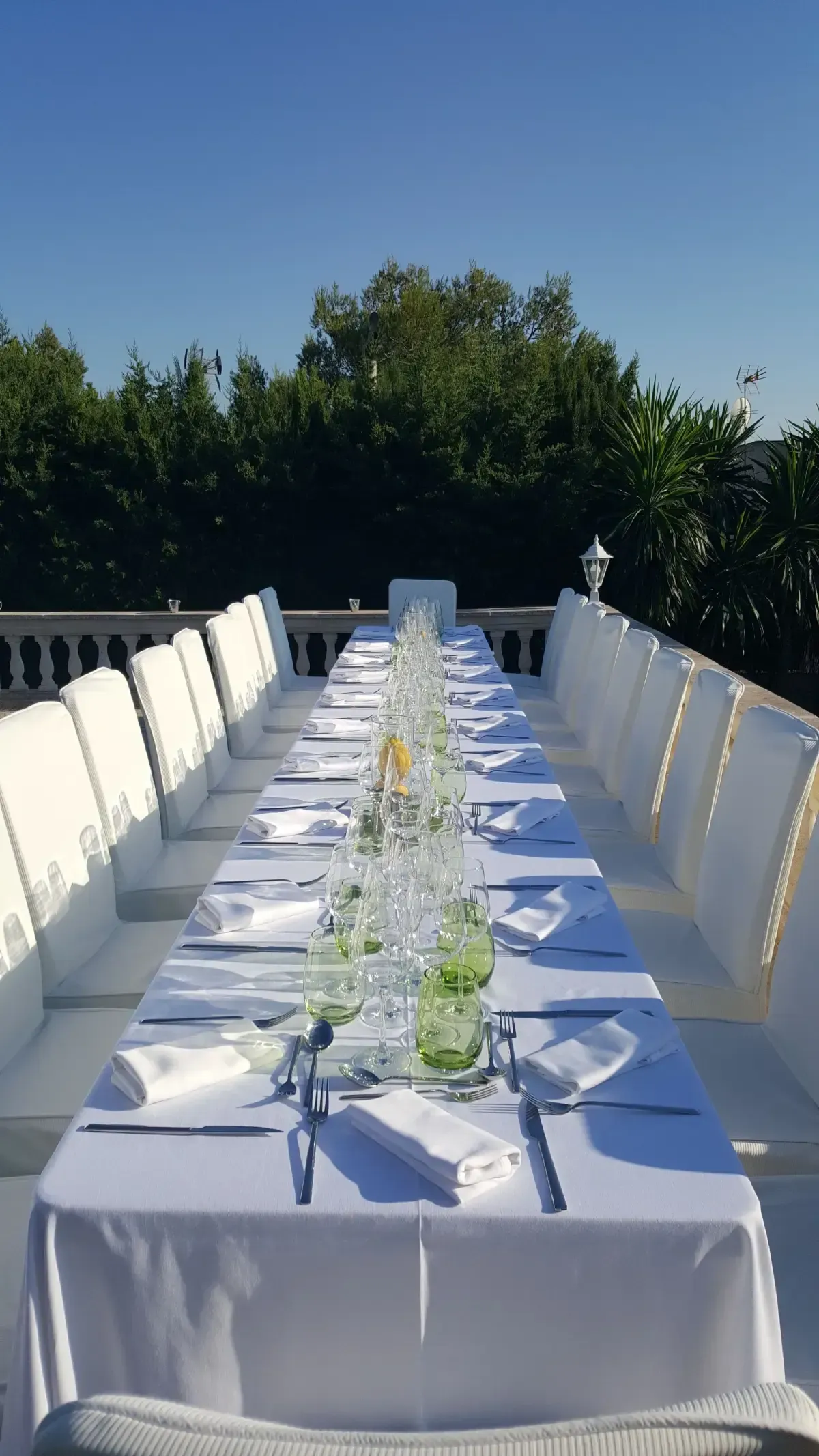 Mesa de comedor larga al aire libre con sillas blancas y mantelería azul junto a vegetación bajo un cielo despejado.