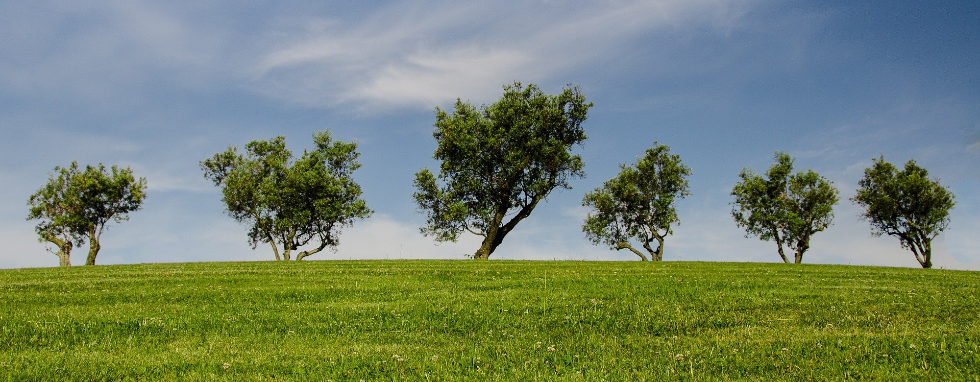 Développement durable