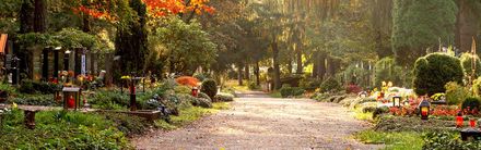 Ein Friedhof mit vielen Gräbern und Bäumen.