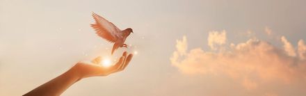 Eine Person hält vor einem bewölkten Himmel eine Taube in der Hand.