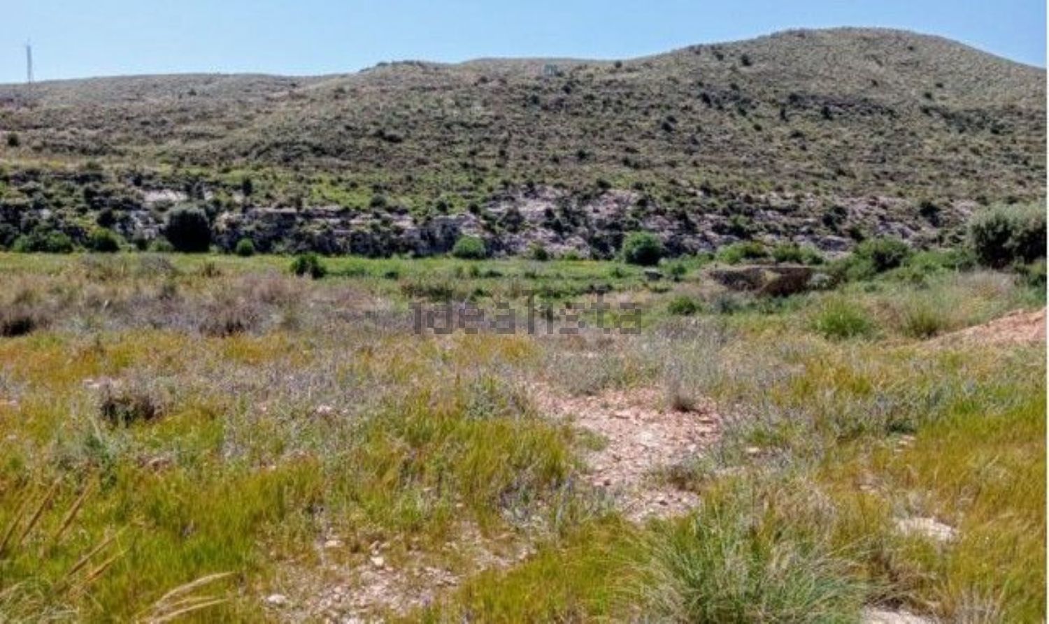 Un campo de hierba con montañas al fondo