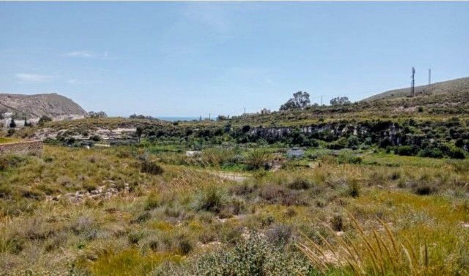 Un gran campo de hierba con una montaña al fondo.