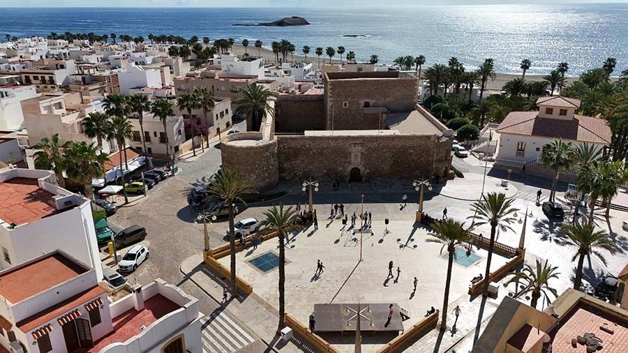 Una vista aérea de una ciudad con palmeras y el océano al fondo.