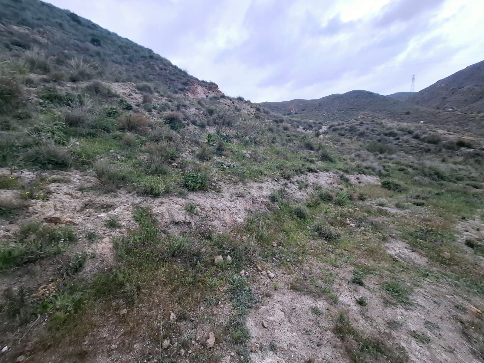 TERRENO Cañada de Don Rodrigo finca 235