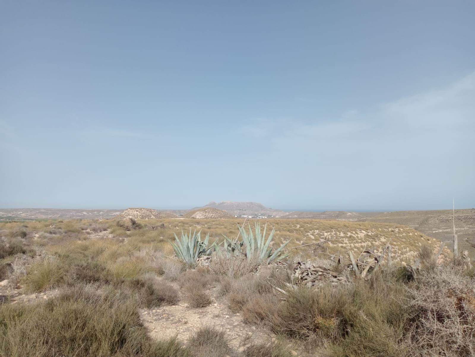 Un paisaje desértico con una montaña al fondo y un cielo azul.