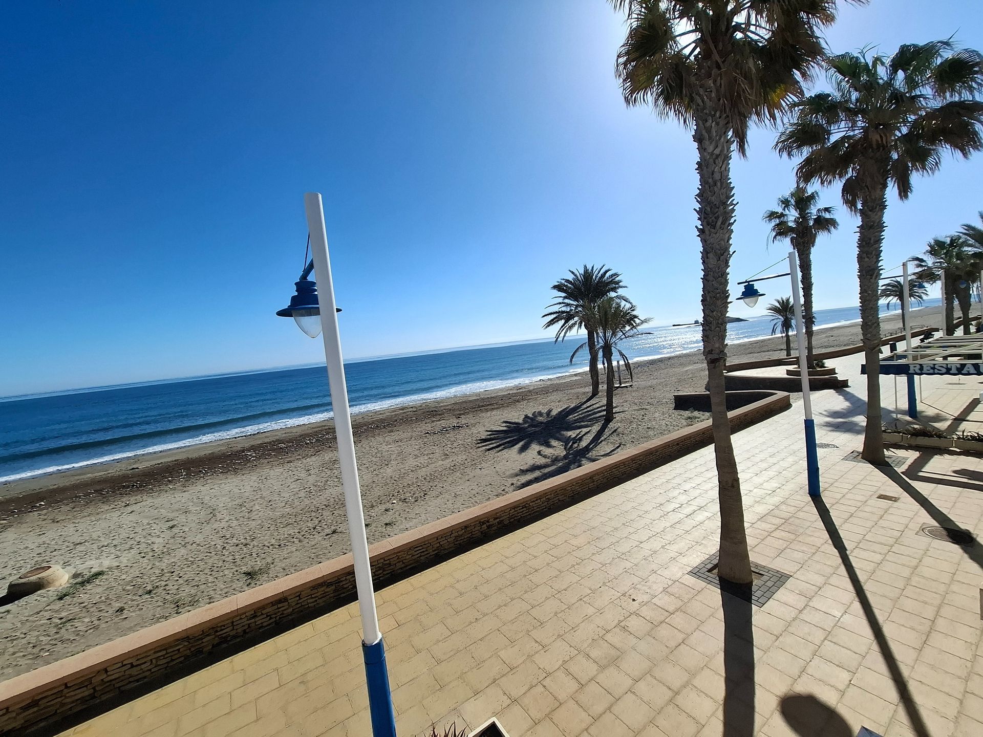 Una playa con palmeras y una torre de salvavidas