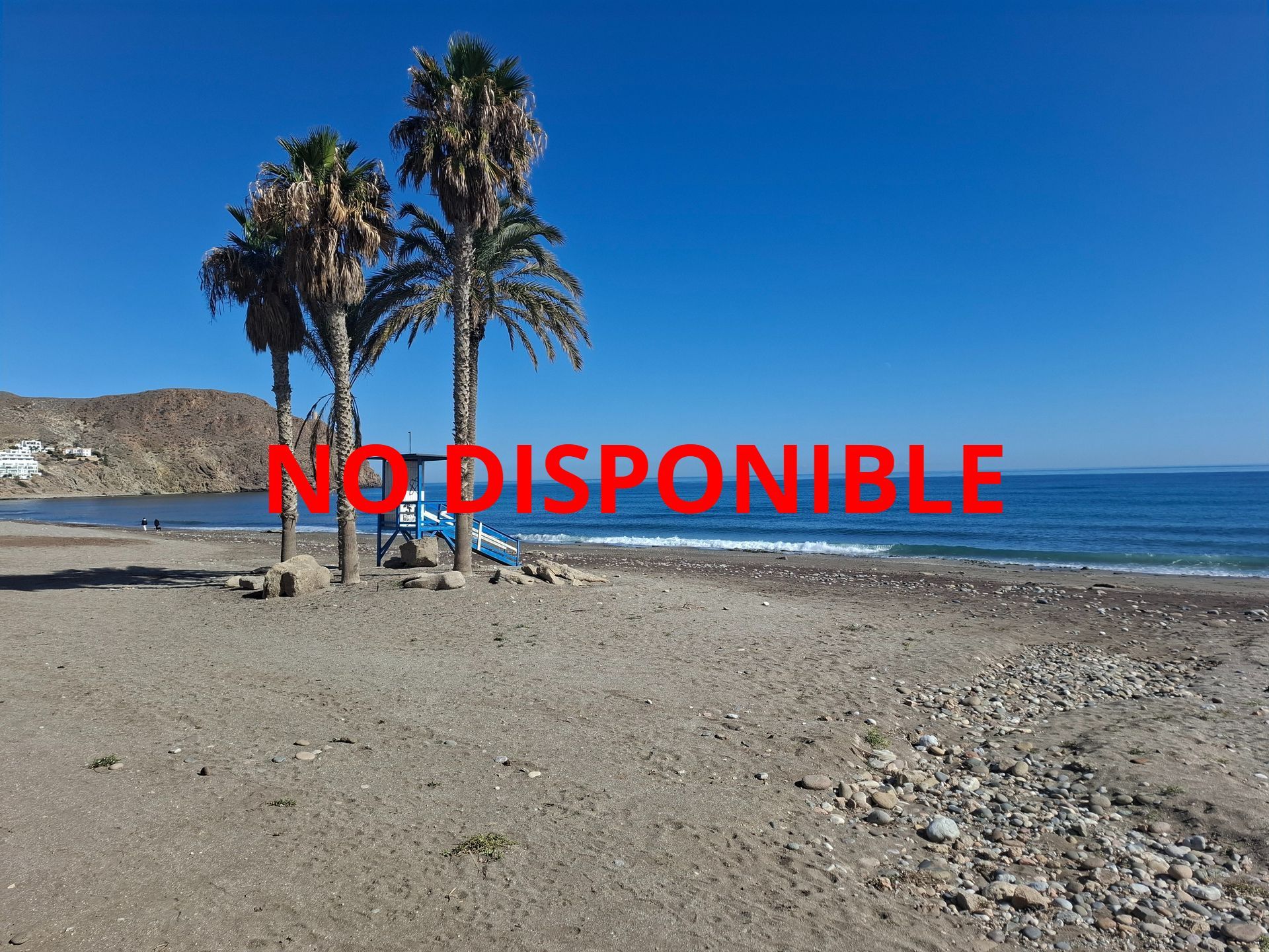 Una playa con palmeras y una torre de salvavidas