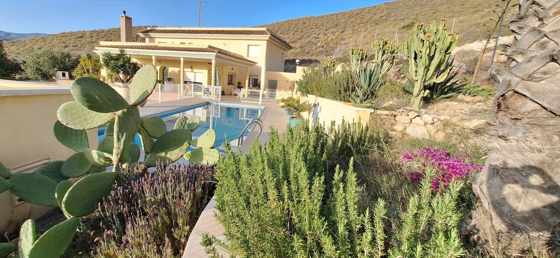 Una casa grande con piscina está rodeada de cactus y flores.