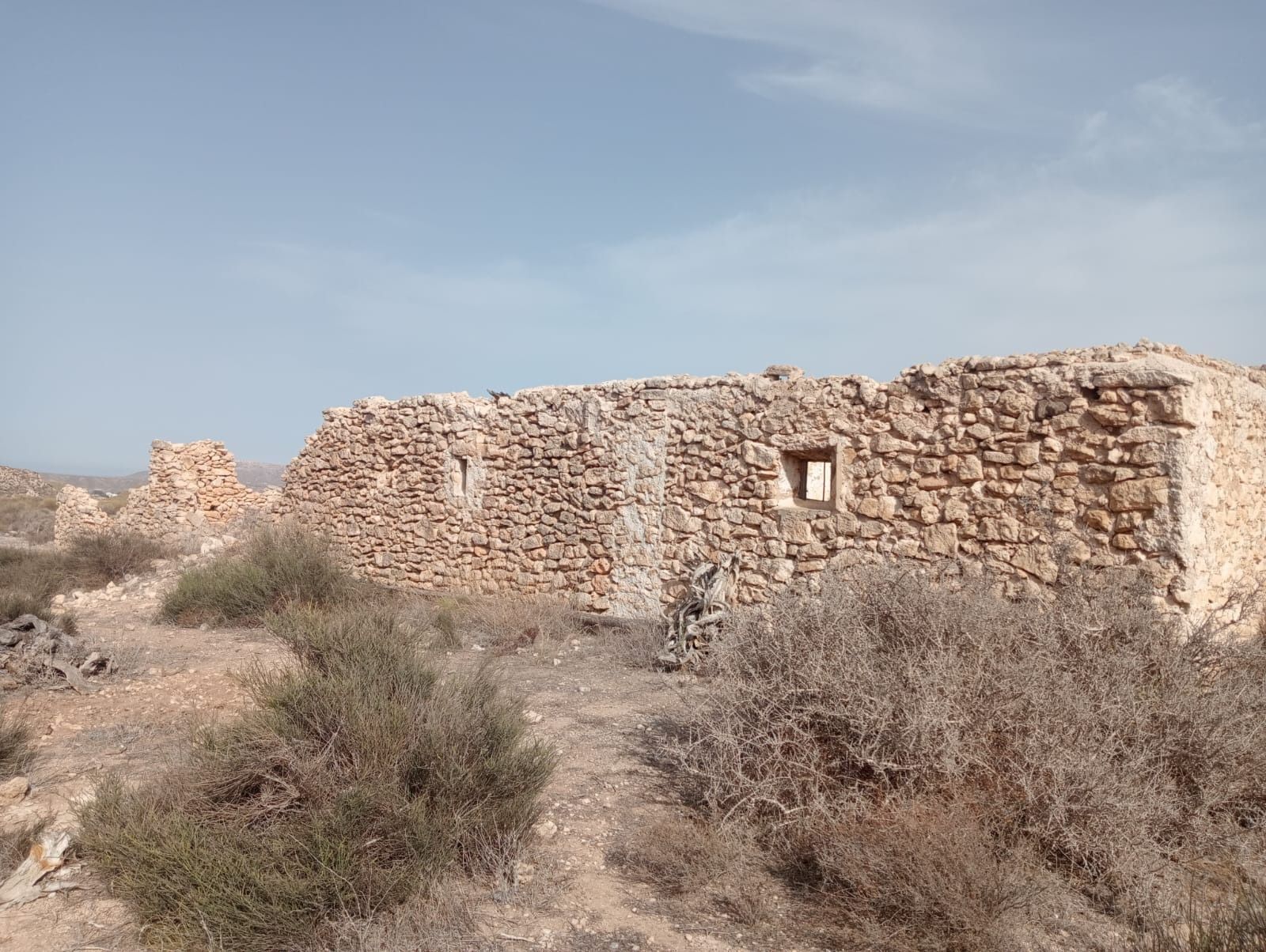 Un paisaje desértico con una montaña al fondo y un cielo azul.