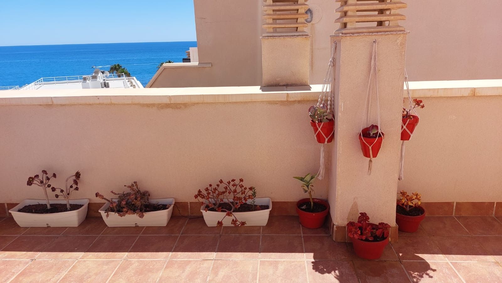 Un balcón con vista al mar y palmeras.