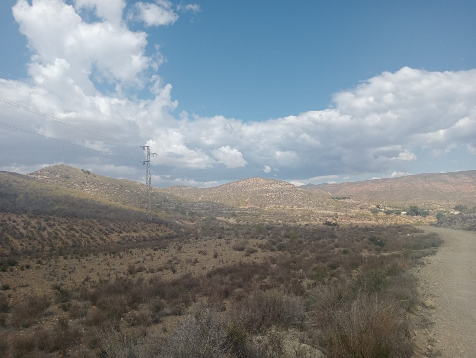 Un camino de tierra en medio de un desierto con montañas al fondo.