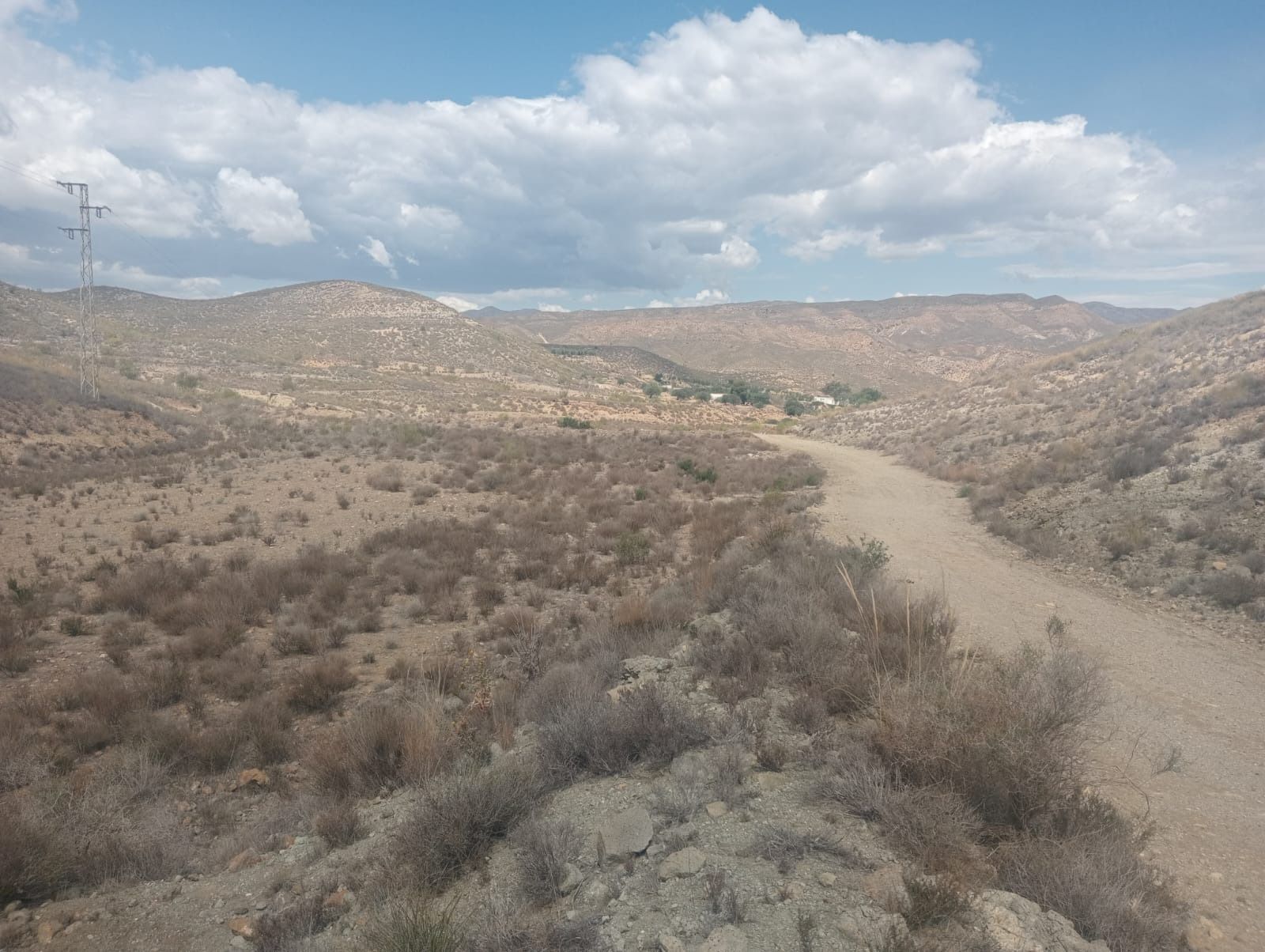 Un camino de tierra en medio de un desierto con montañas al fondo.
