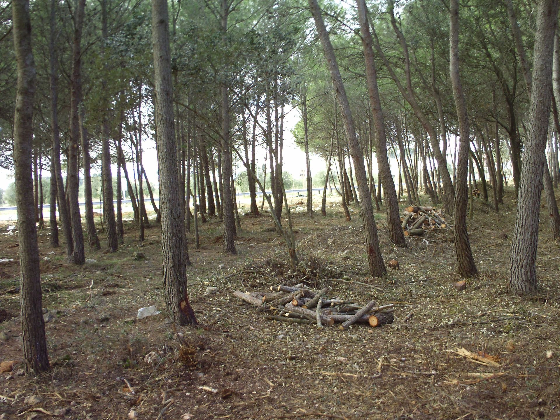 imagen nuestra historia