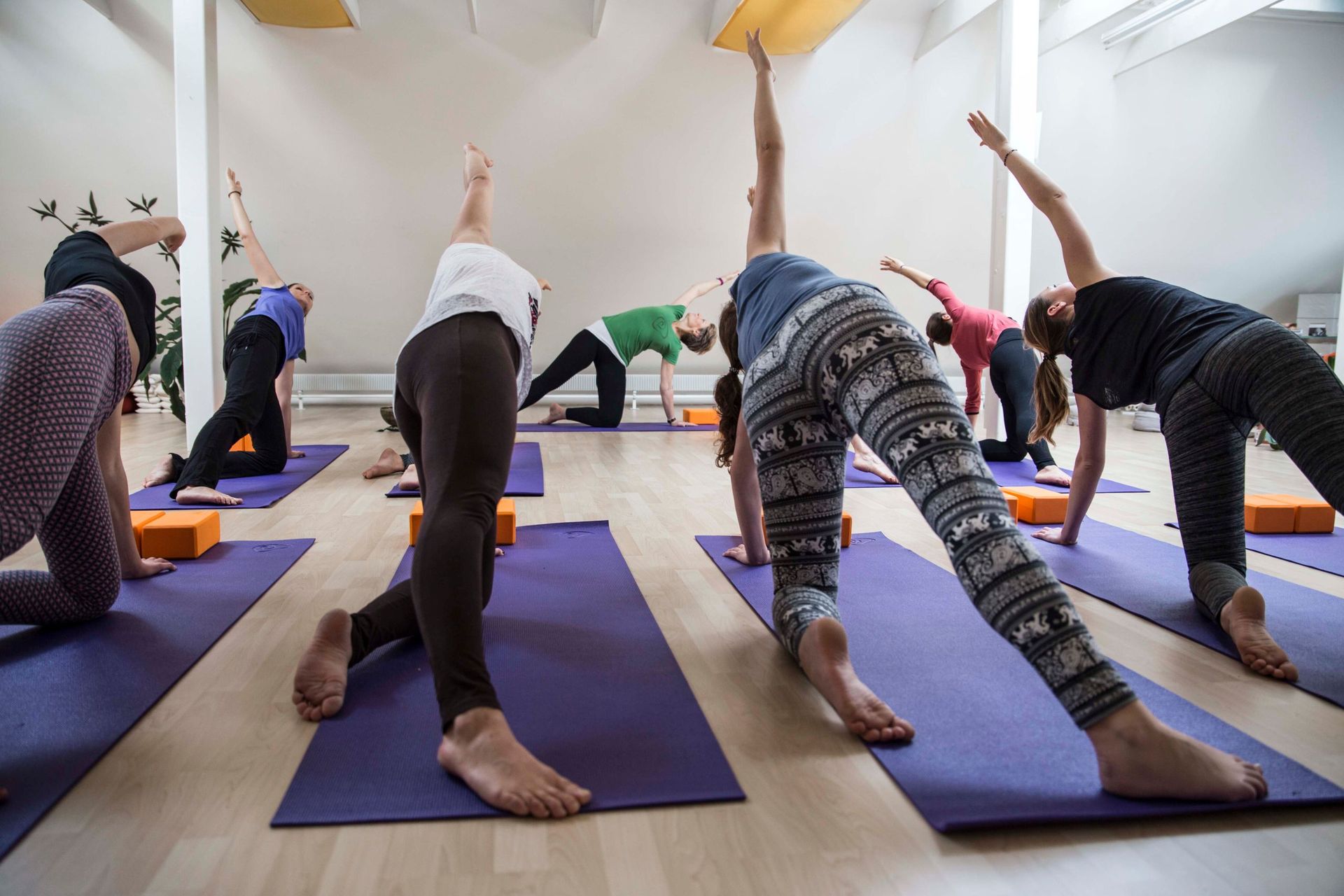 ChiYoga - e-quilibrium - Wädenswil