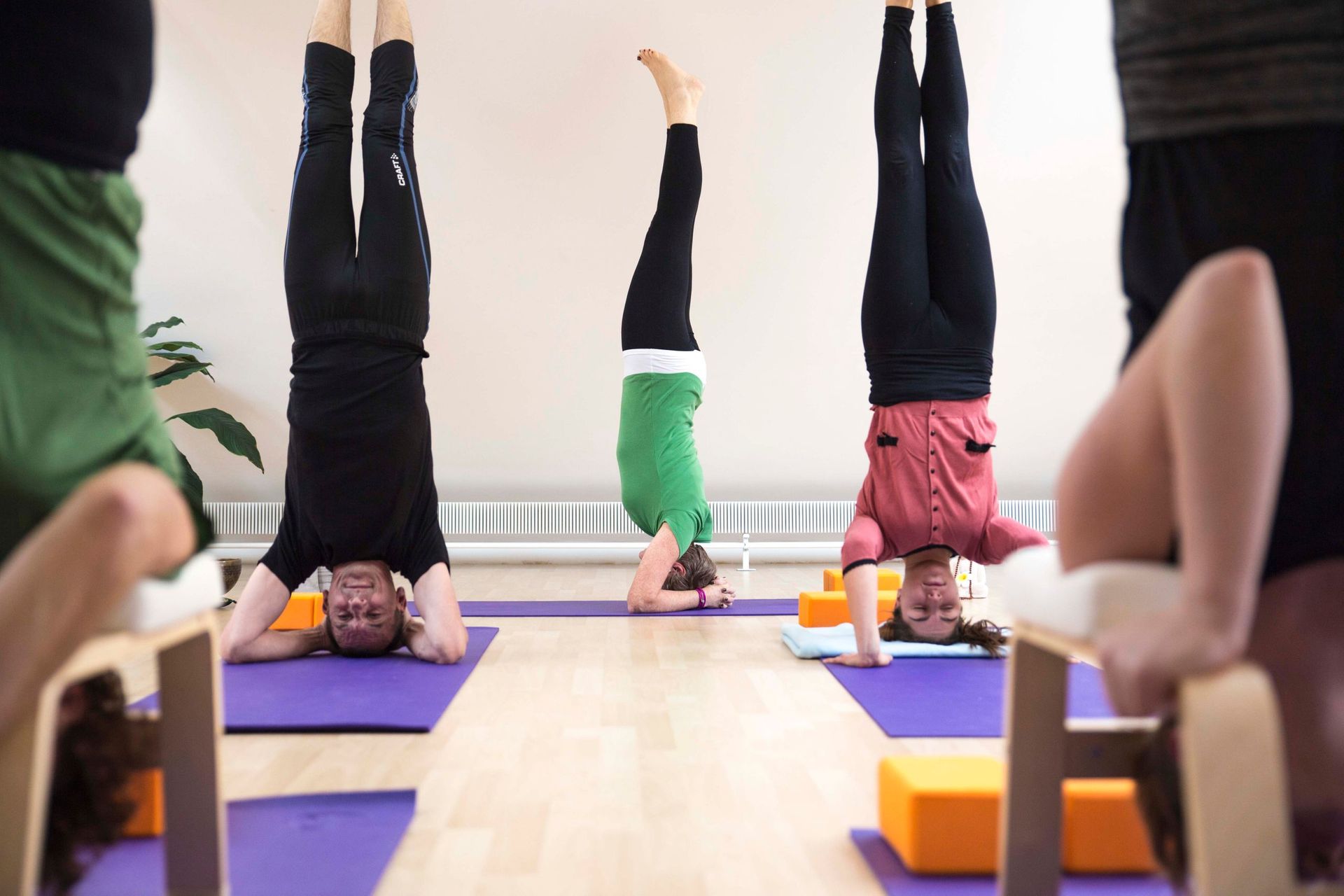 ChiYoga - e-quilibrium - Wädenswil