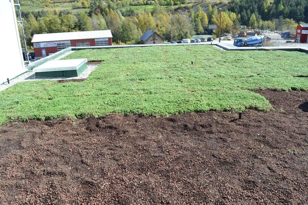 Végétalisation de toiture