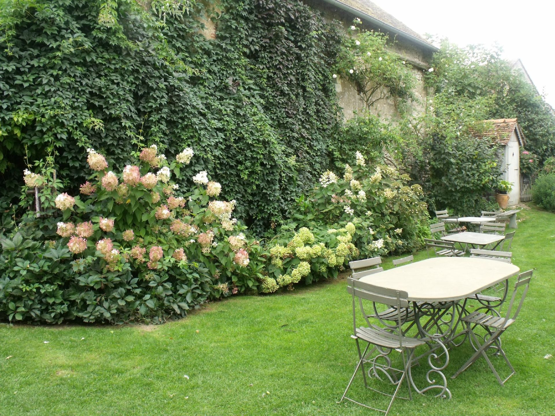 Plantations et massifs - Jardinage - César Ribeiro