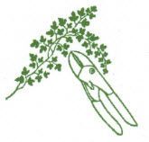 Logo César Ribeiro - Jardinier paysagiste - Begnins