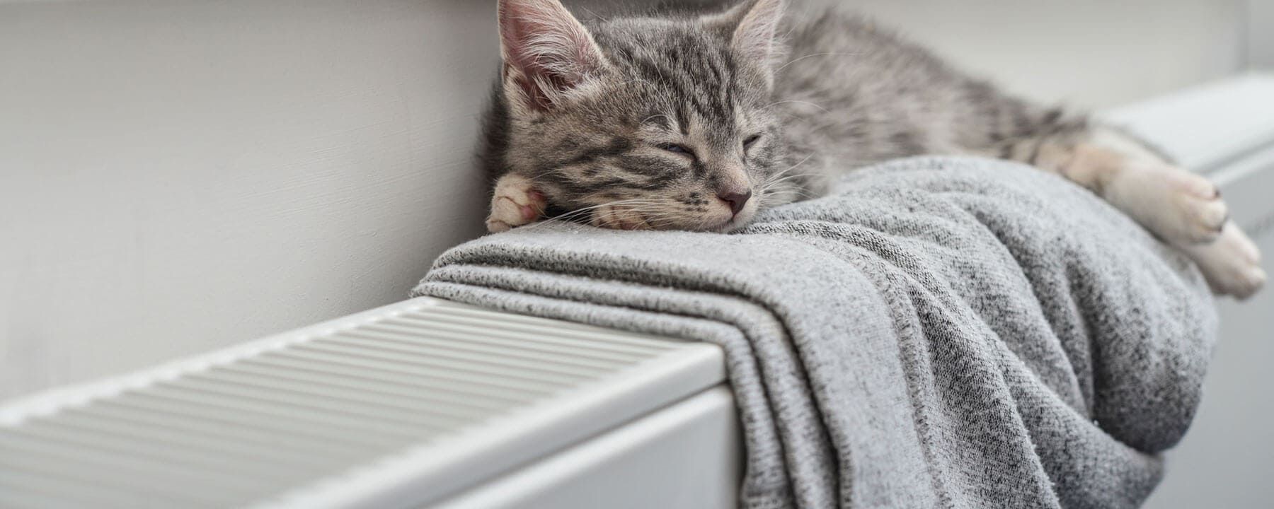 Eine Katze liegt auf einer Decke auf einem Heizkörper.