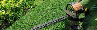 entretien-espaces-verts