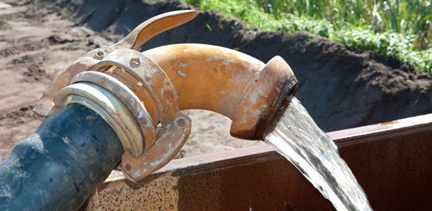 L'eau s'écoule d'un tuyau métallique industriel courbé, relié à un tuyau d'arrosage, et se déverse dans un conteneur extérieur.
