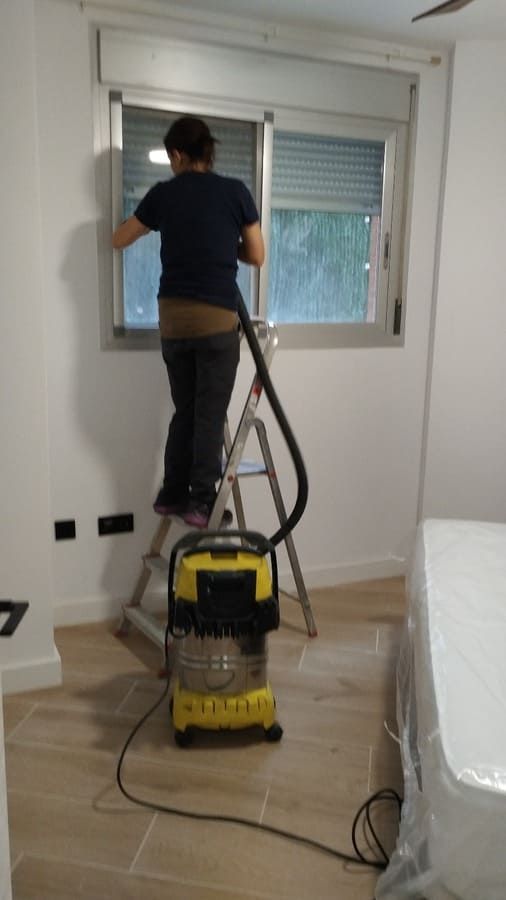 Una mujer está parada en una escalera limpiando una ventana con una aspiradora.