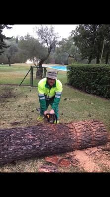 Un hombre está cortando un tronco grande con una motosierra.