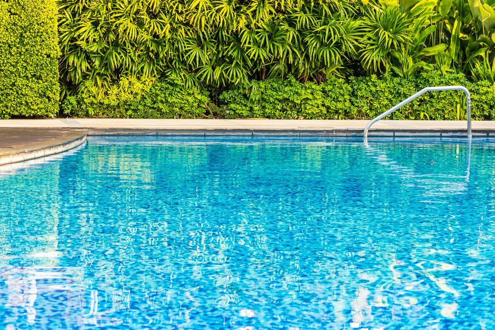 Una gran piscina rodeada de árboles y arbustos.