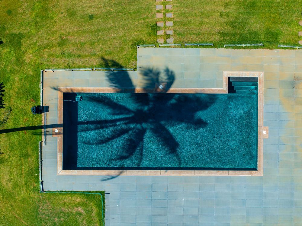 Una vista aérea de una piscina con una palmera proyectando su sombra sobre ella.