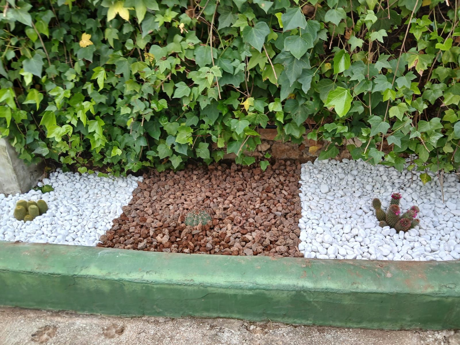 Un jardín con rocas y plantas delante de un seto.